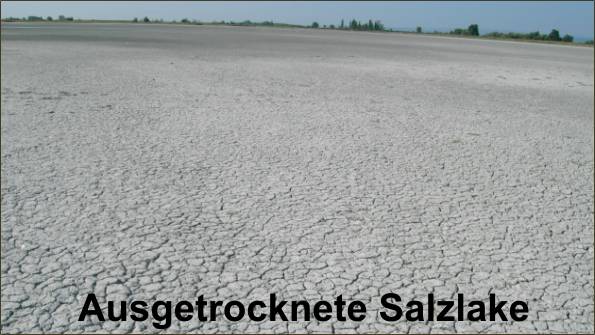 10Salzlake_ausgetrocknet.