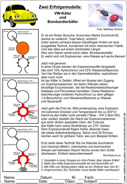 Bombardierkfer-eine_Rakete_auf_sechs_Beinen4