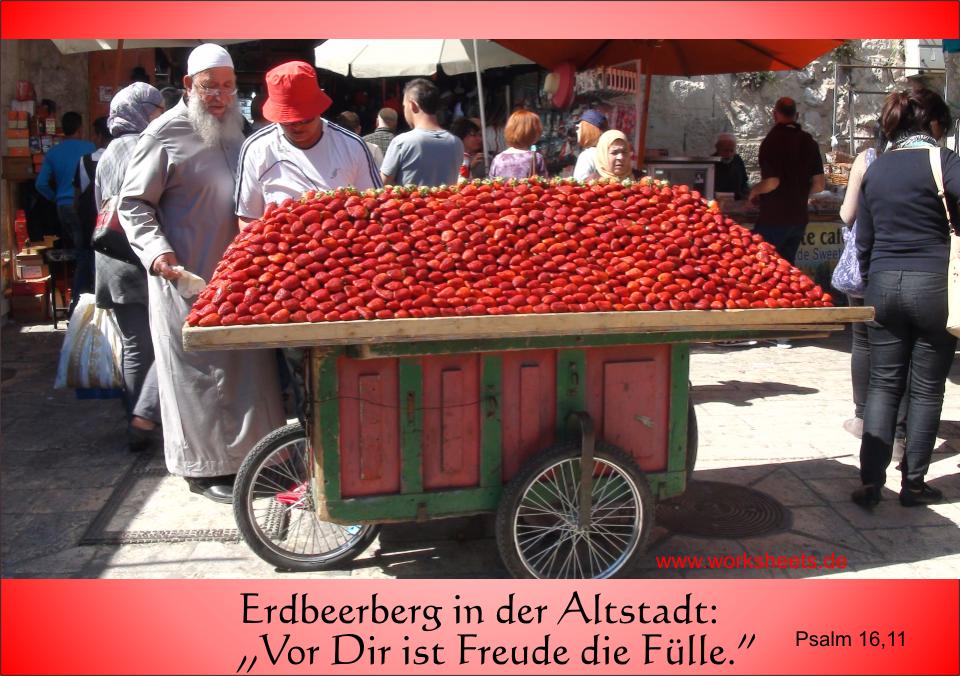 Erdbeeren_in_Jerusalem3