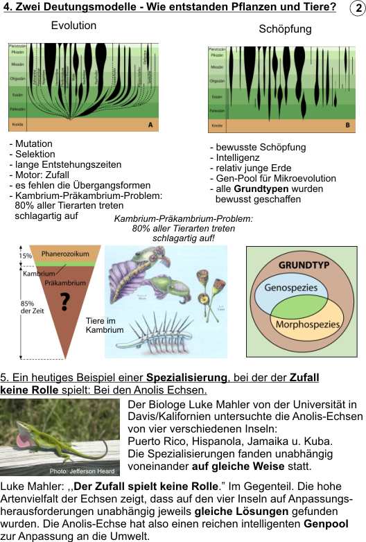 Evolution-Schpfung-Skript-2014-S2