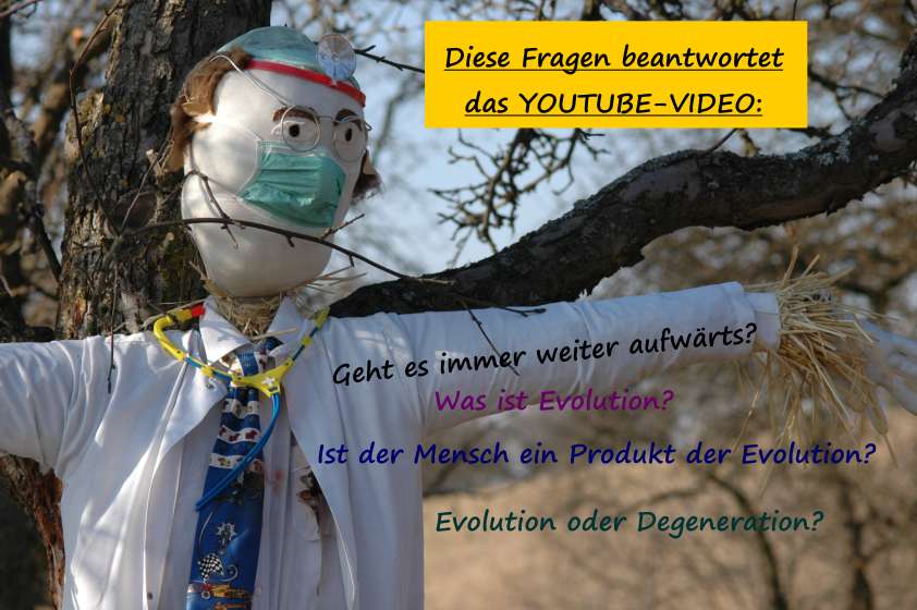 Evolution oder Degeneration