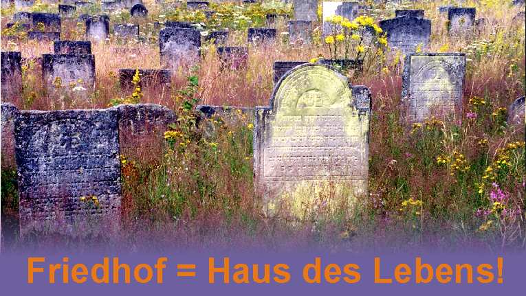 Film-Haus_des_Lebens