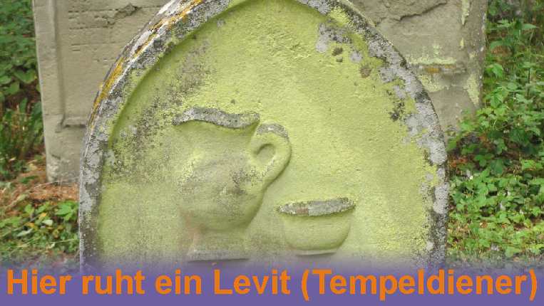 Film-Levit