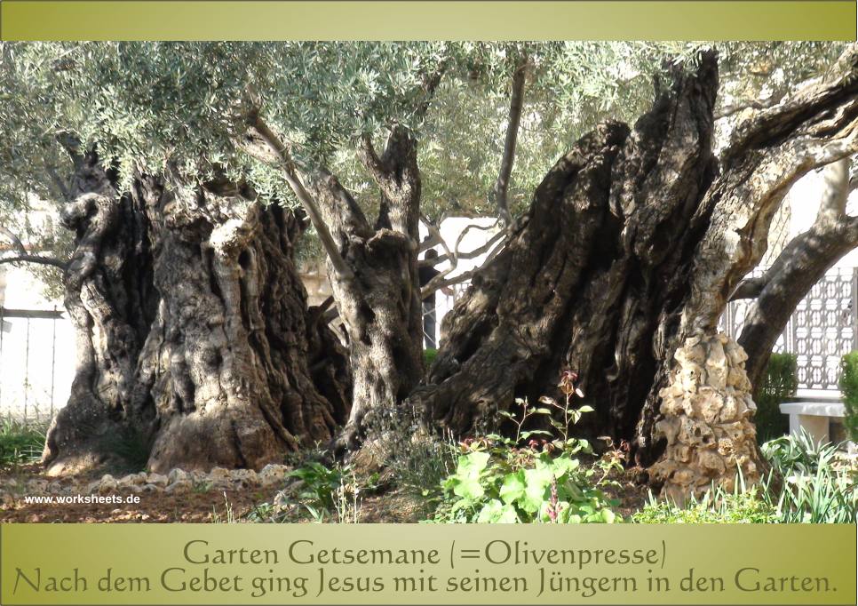 Garten_Gethsemane-Olivenpresse