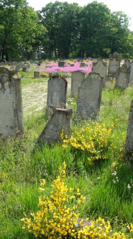 Judenfriedhof-hoch