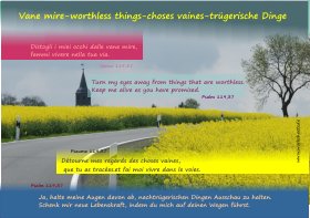 Vane mire-worthless things-choses vaines-trgerische Dinge-s