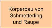 Krperbau von 











Schmetterling











und Raupe