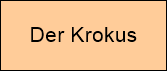 Der Krokus