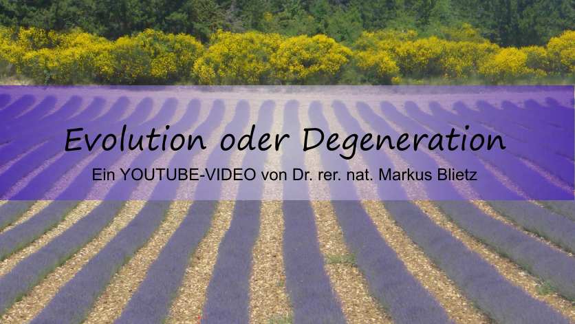 degeneration-information