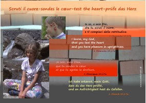scruti ilcuore-sondes le coeur-test the heart-prfe das Herz-s1