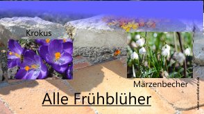 1Alle Fr�hbl�her-Logo
