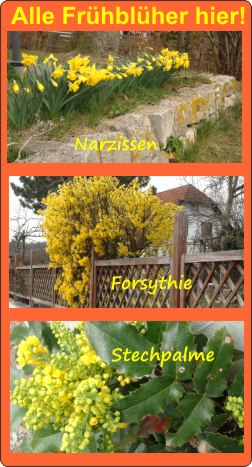 Alle Fr�hbl�her-Logo