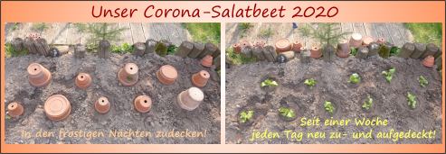 Corona-Salatbet2020-Logo2 Corona-Salatbet2020-Logo2
