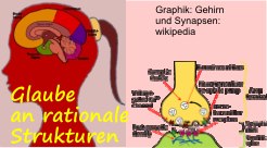 Gehirn-Synapsen2-logo