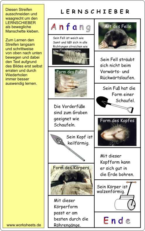 Der Maulwurf - Lernmedien