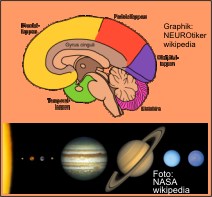 Struktur in Gehirn-Weltall