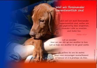 t-F�r_einander_verantwortlich-Logo